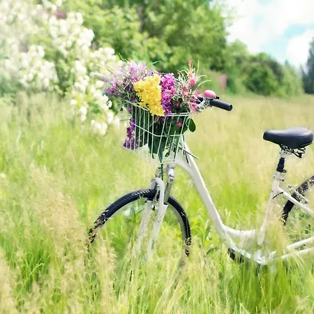 Spacious With Private Garden Casa de Férias